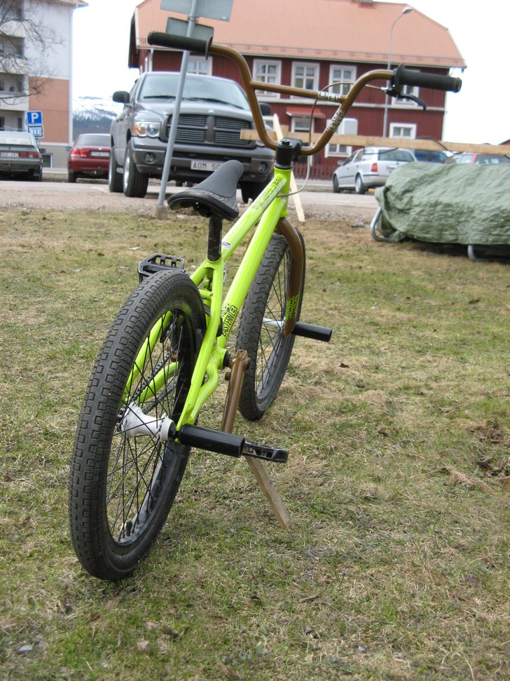 Eastern shovelhead -08. Foto: Viktor Olofsson.