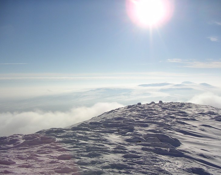 Foto: Sanna Sjöblom.