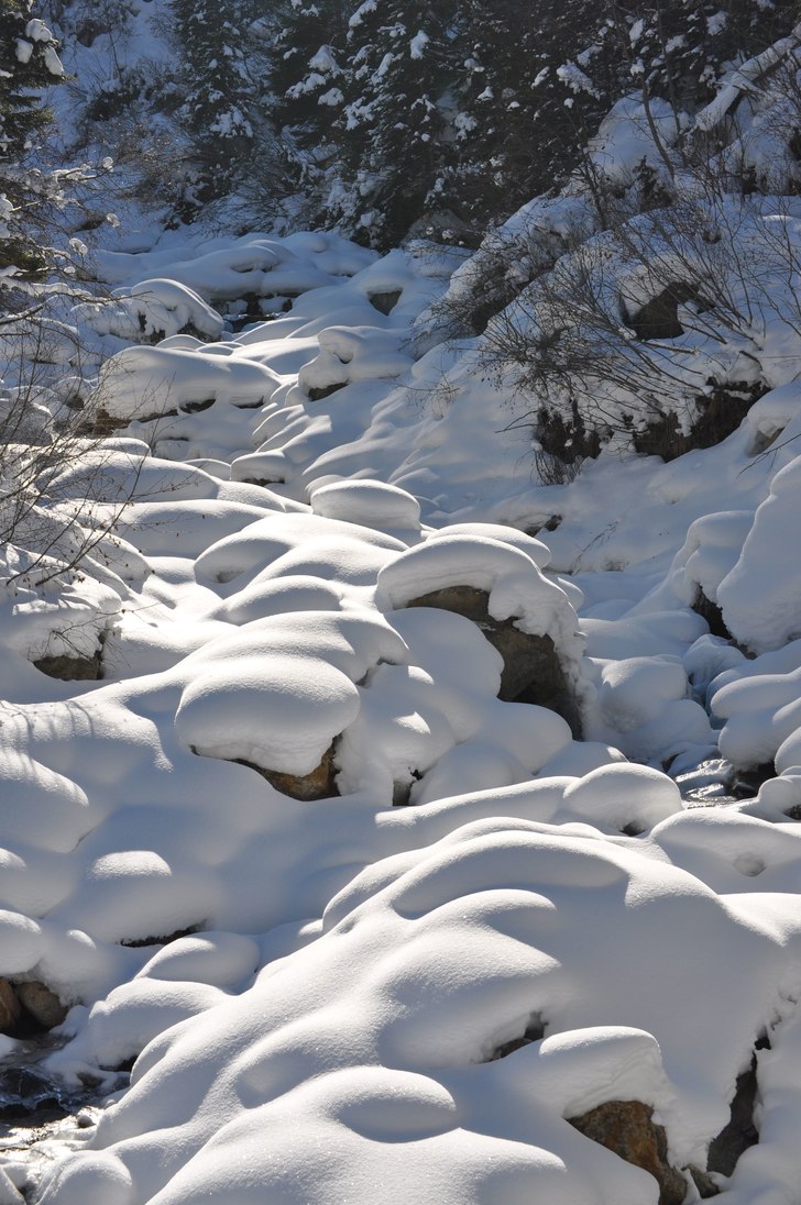 Foto: Johanna Fischer.