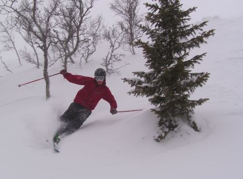 Skogis i Åre.. Foto: Josef Ragnarsson. Åkare: Anton Sigvardsson.