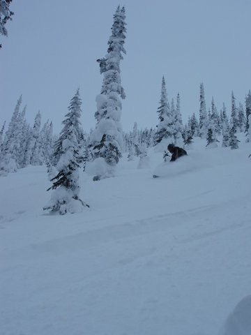 Foto: Mangan. Åkare: Henke.