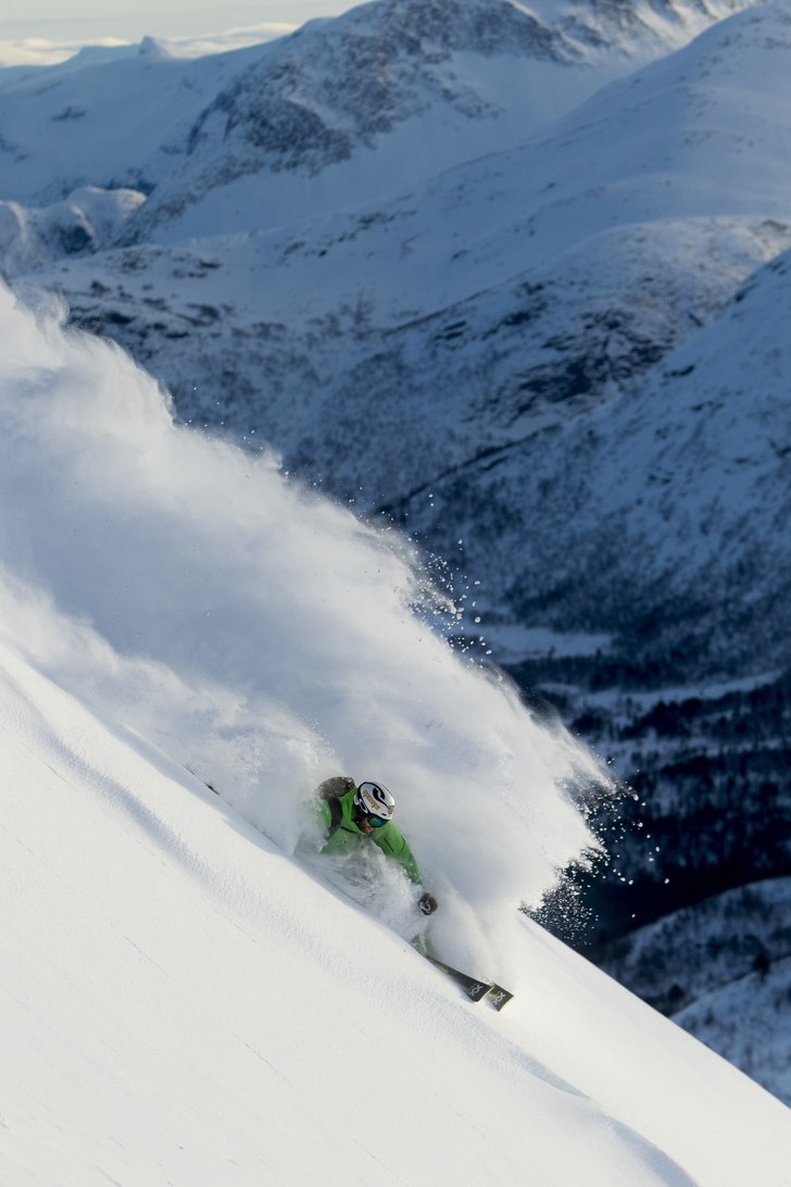 Karsten Gefle plockar puder i Blådalen.. Foto: Fredrik Schenholm.
