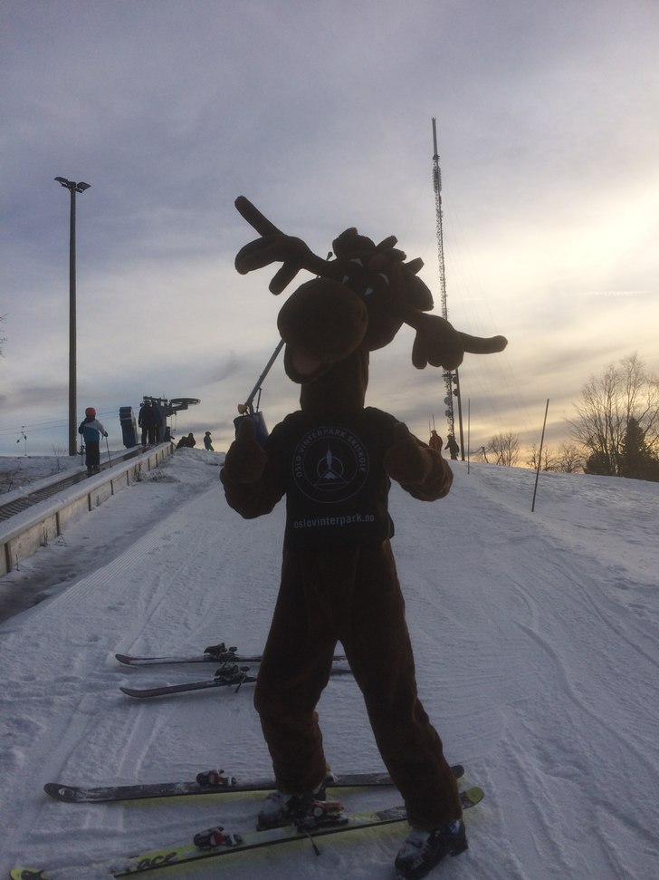 God stemning i bakken????
.