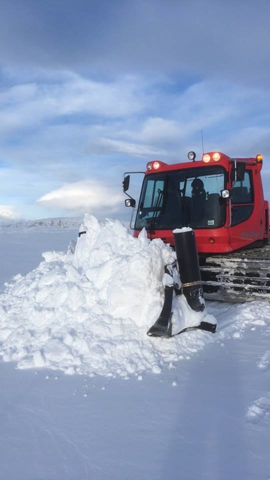 Nysnø
Endelig fikk vi nesten 20 cm nysnø, og det.