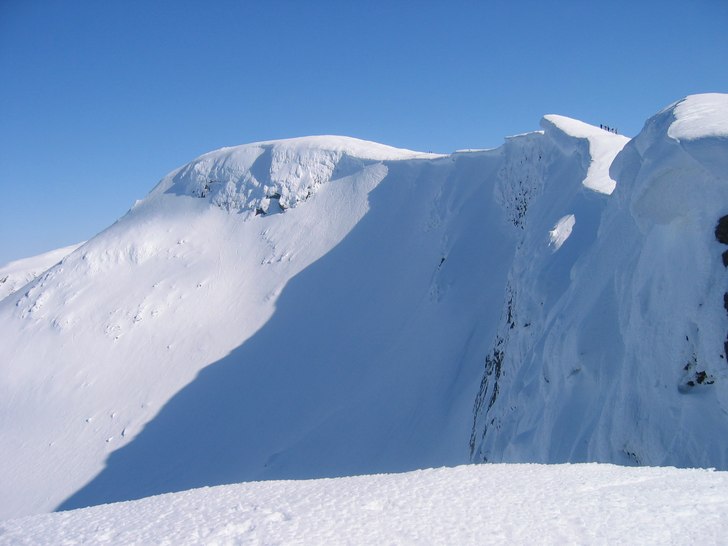 Foto: Robert Pererson.