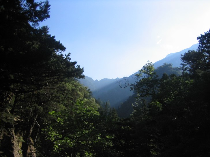 vackert soljus! . Foto: Fredrik Nilsson.