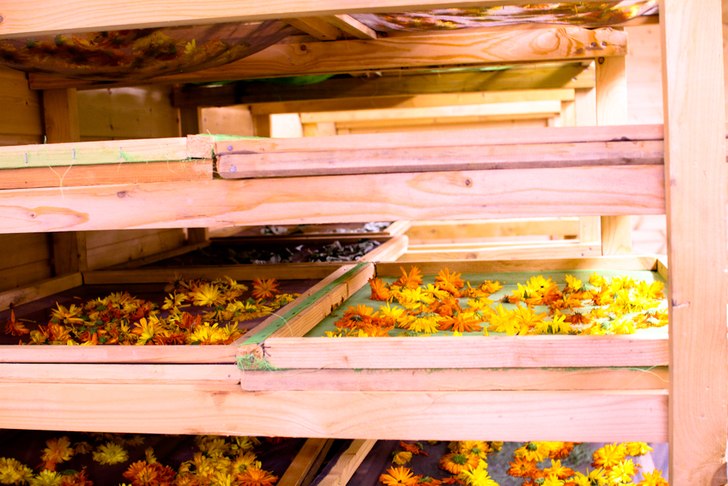 Foto: Christine Hargin.