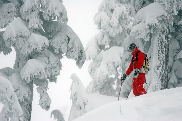 Grym puderdag!!!. Foto: Joe från Powder mountain catskiing. Åkare: Fredrik Elf.