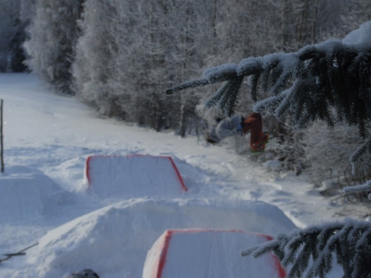 Foto: Egil Steen. Åkare: Anton Tjernström.
