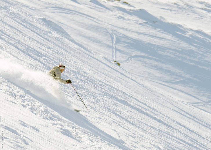 Foto: Stefan Bogren. Åkare: Bosse Törnmalm.