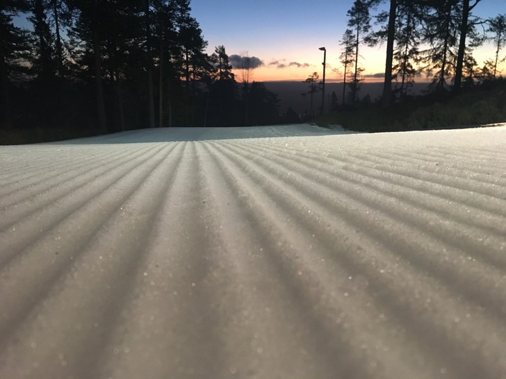 Faste og fine forhold!
Faste og fine forhold i dag.