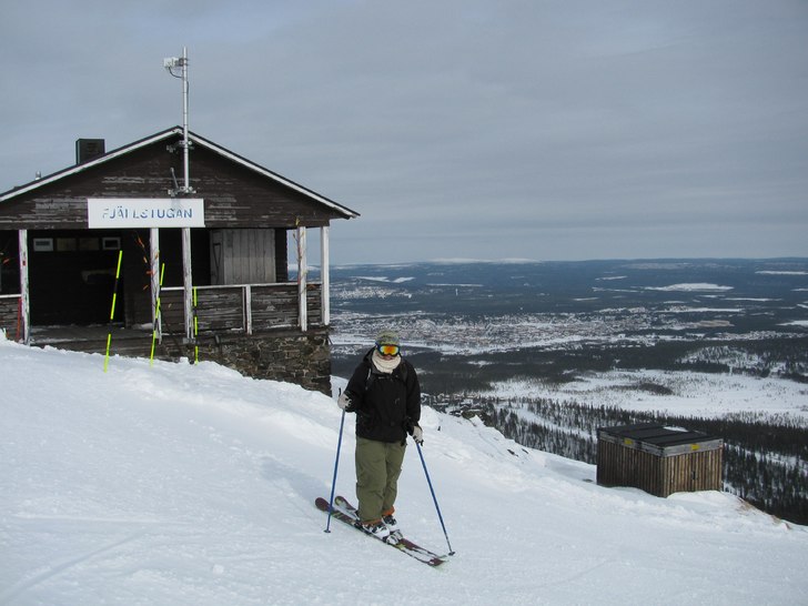 Foto: Camilla Isaksson. Åkare: Stina Lyngmark.