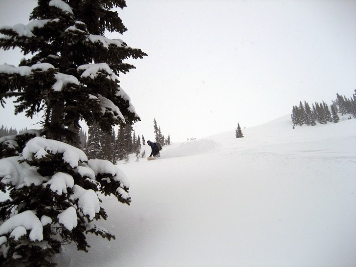 Foto: Kajan. Åkare: Johnny Jaws.