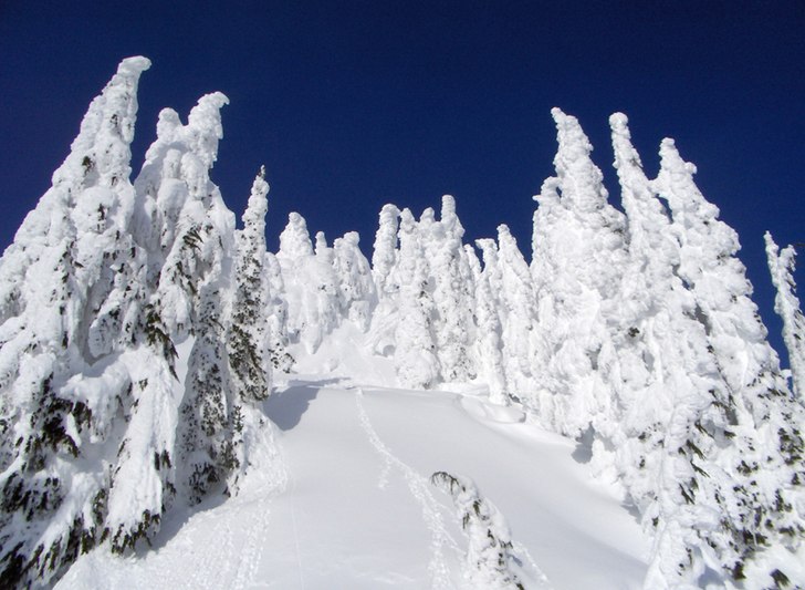 Foto: Charlotte Åkerlund. Åkare:  -.