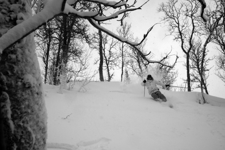 En vakker dag med masse pow!. Foto: Stian Aspelund. Åkare: Lars Jørgen Røv.