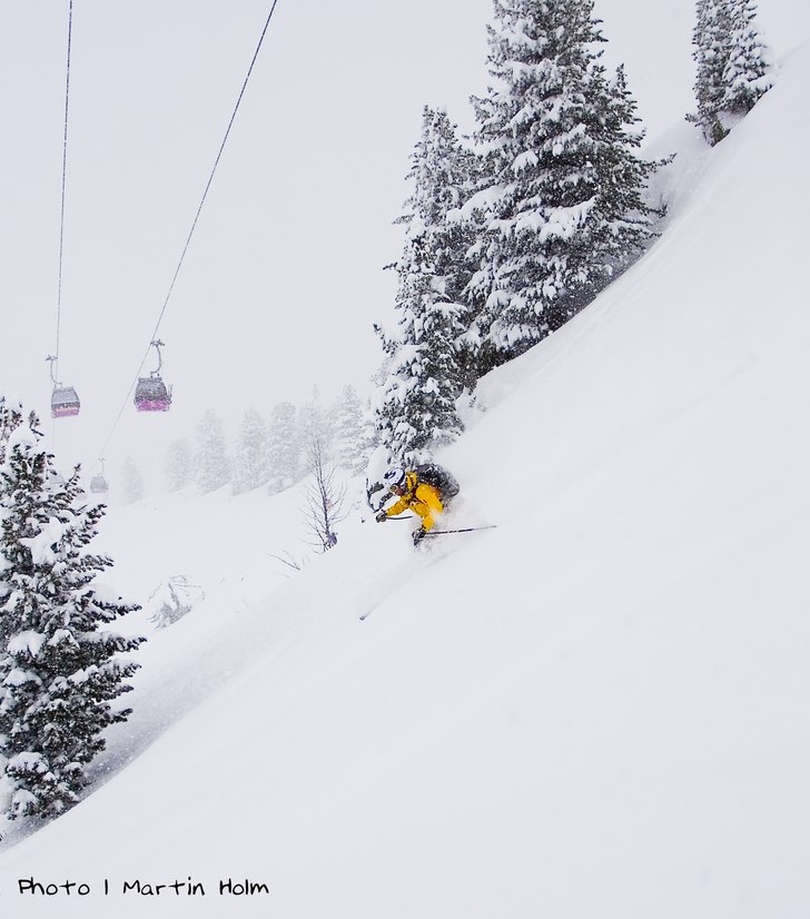 Foto: Martin Holm. Åkare: Christian Åkesson.