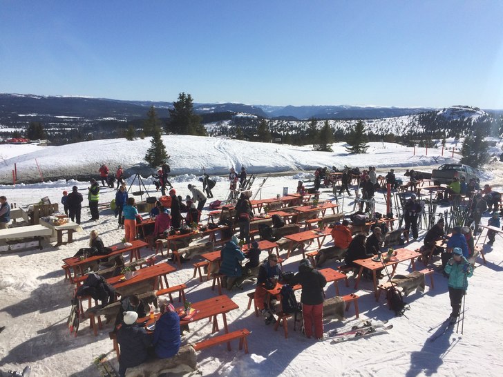 God stemning fra i onsdag
God stemning under grill.