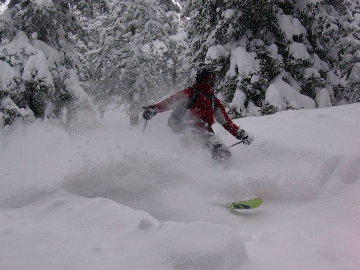 Emma i snötyngd skog i Madrisa, Davos.. Foto: Petter Gustafsson. Åkare: Emma Östling.