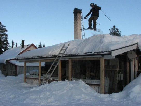 roli. Foto: Tomas Wiberg. Åkare: Mattias Wiberg.