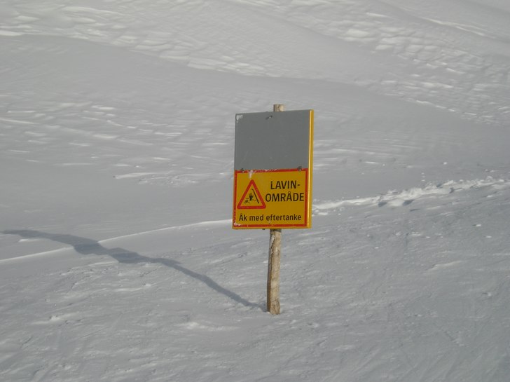 najs. Foto: olav åkra.