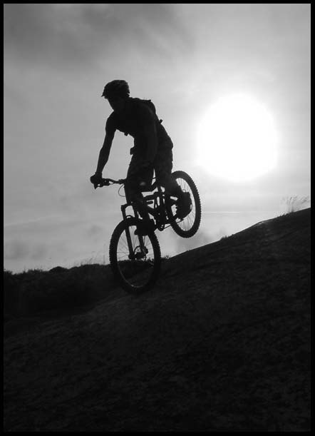 Härlig motljusbild, i flatljus. 
Nosemanual ner . Foto: Anton Holm. Åkare: Eric Westling.