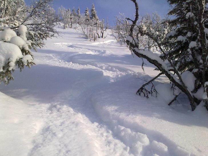 Foto: Mountain Man. Åkare: Mountain Man.