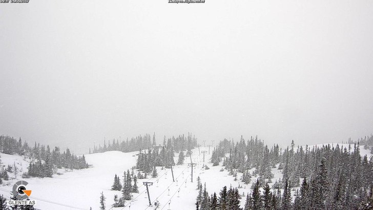 Det snør, det snør!
I dag, mandag 24.4, faller s.