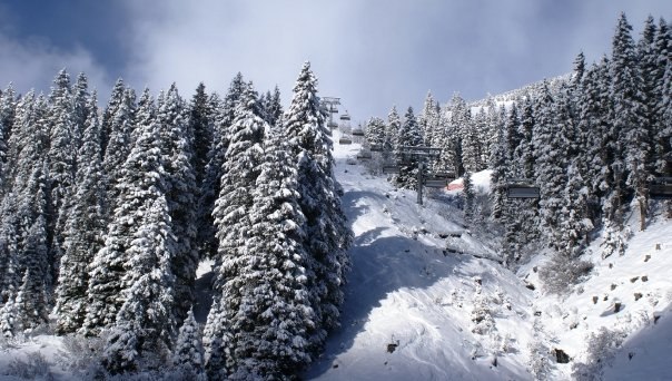 Foto: Jan Walerych. Åkare: Artur Walerych.