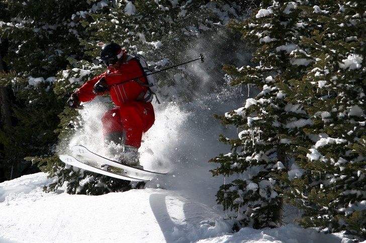 Lite kul träd-gap som hittades. Foto: Sverker Högbom. Åkare: Henrik Petersson.