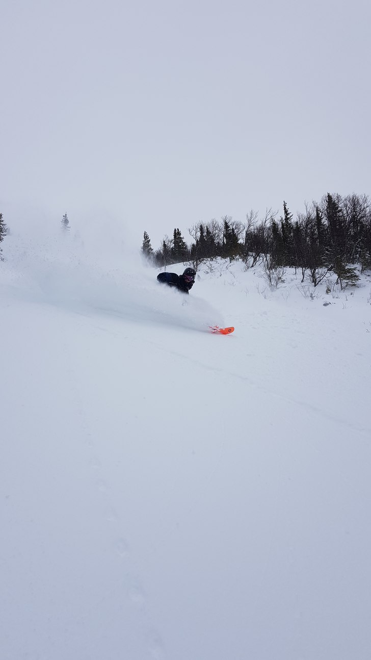 Åres bästa snöfall!.