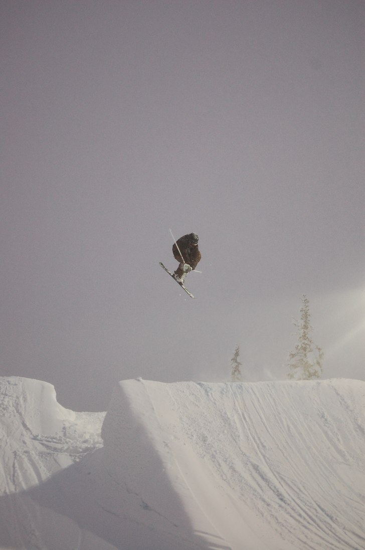 Dubbelmute. Foto: Christer Lund. Åkare: Simon Ahlén.