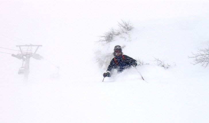 Fluffigt värre. Foto: Troels Thomsen. Åkare: Mikael Jönsson.
