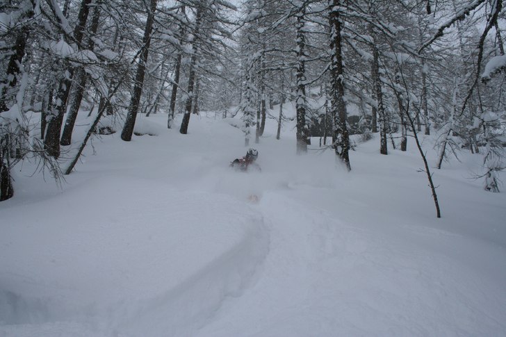 Foto: Björn Gannsjö. Åkare: Busca.