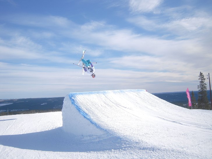 Lincoln. Foto: Ragge. Åkare: Robin.