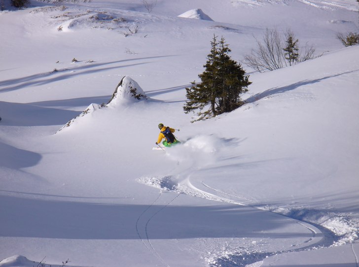 Foto: Anna Gustavsson. Åkare: Andreas Gustavsson.