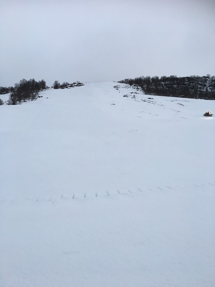 Lørdag 21/1
Foreløpig har vi ca. +1, lavt skydek.