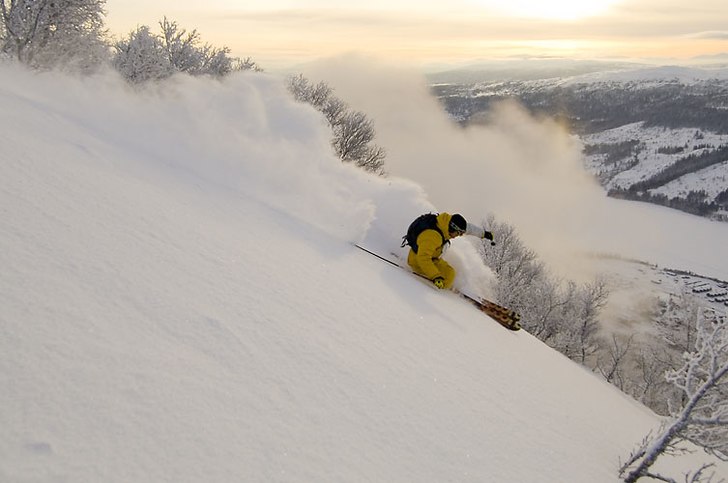 Foto: Jesper Molin. Åkare: Henrik Utter.