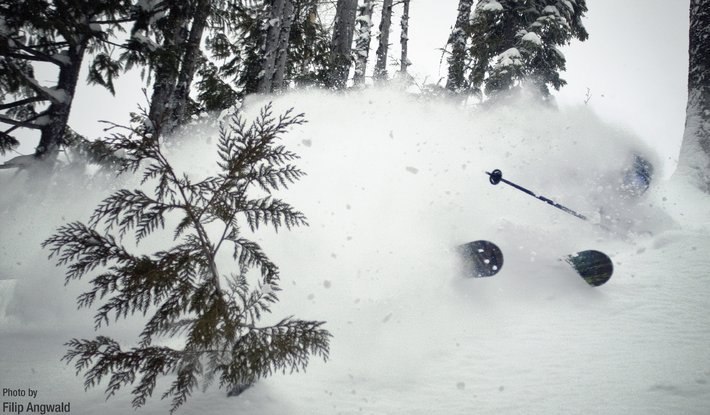 djupt vid hygget på Siberia.

Lohinspiredclothi. Foto: Filip anwald. Åkare: teodor day.