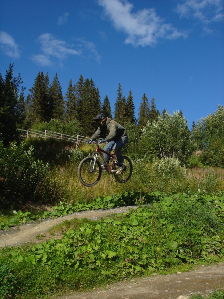 Foto: M.Stål Sjöberg. Åkare: Per Jonsson.