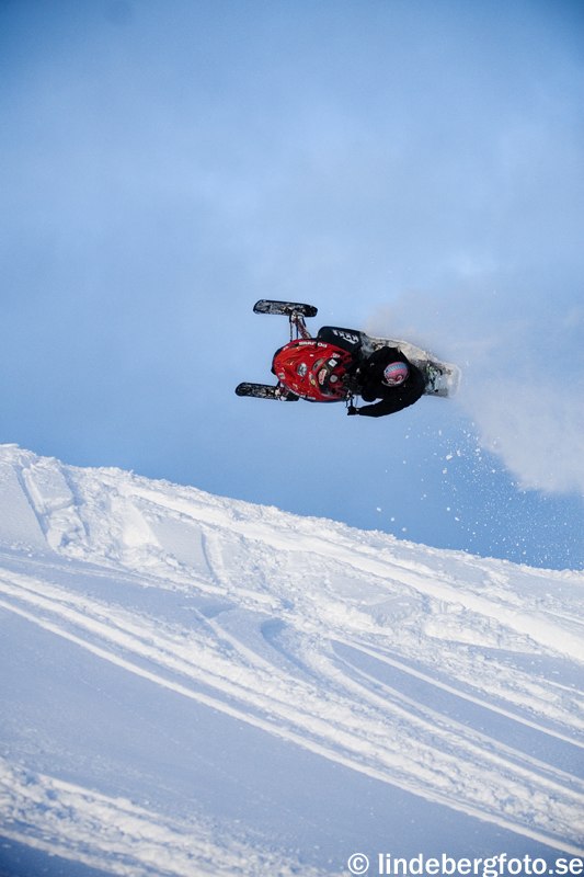 Whip!. Foto: Johan Lindeberg. Åkare: Jocke Lyxell.