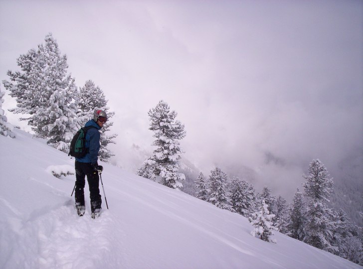 På väg mot lite skön skogsåkning i nyfallen pu. Foto: Anna-Lena Lindström. Åkare: Martin Peeker.