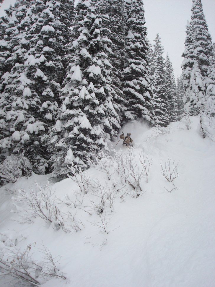 en helt okej dag i Fernie . Foto: anna karlström. Åkare: Daniel Laven.