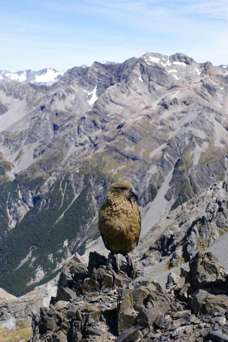 Foto: sara mattsson.