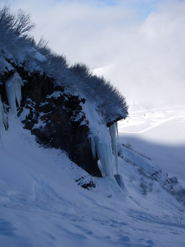 Foto: Malin Suneson.