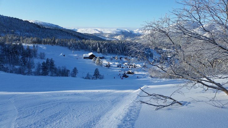 Skitrekket er åpent!
Begge heisene går, og Vesle.