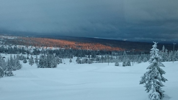Flotte forhold 
Åpent alle dager 10.00-16.00 + ti.