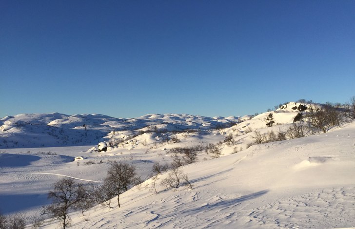 Nok en nydelig dag på gang!
I dag er morgenbildet.
