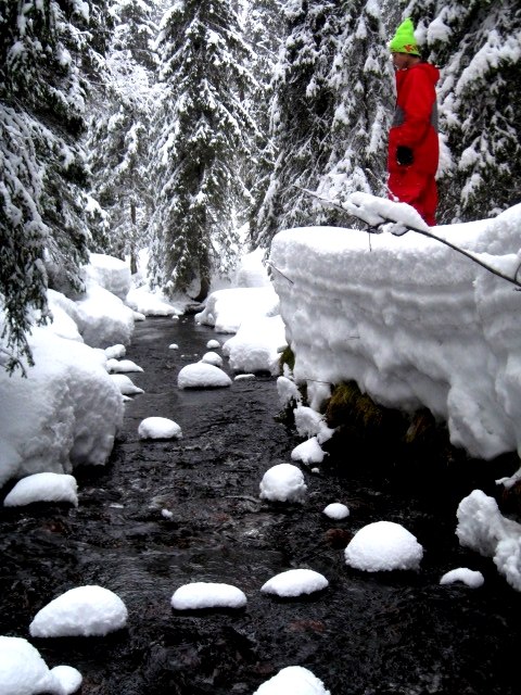 snö.. Foto: cistel. Åkare: jag.
