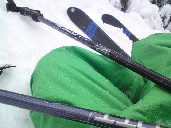 skogen i romme ;o. Foto: August Ulvdell.