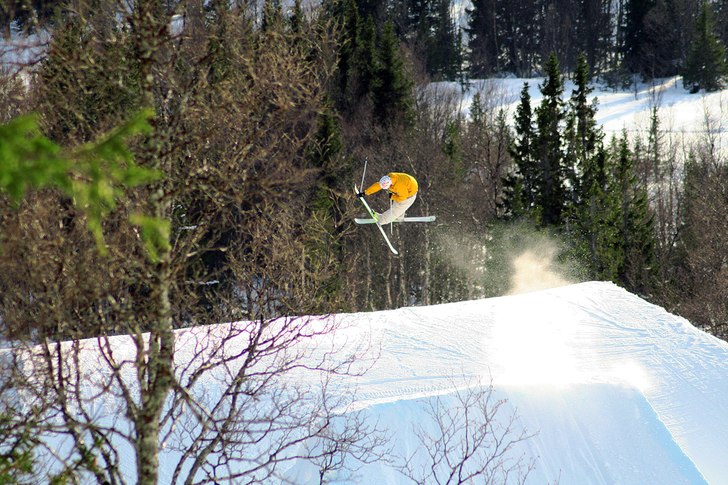 Sw7 stiffy nosemute. Foto: Yngve Staberg. Åkare: Johan Kristofers.